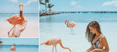Plaža na kojoj možete maziti flaminga (foto)