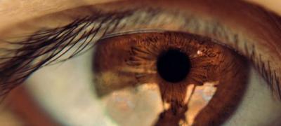 Zašto su ljudi sa braon očima posebni?