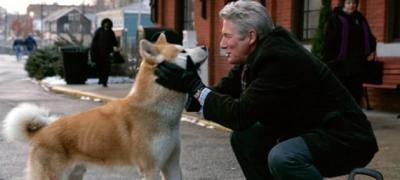 5 najboljih filmova sa psima u glavnim ulogama