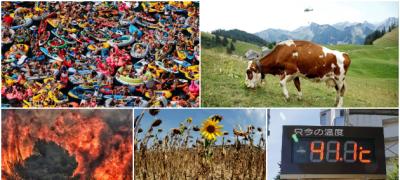 11 foto dokaza koji pokazuju kako toplotni talas utiče na svet i prirodu 