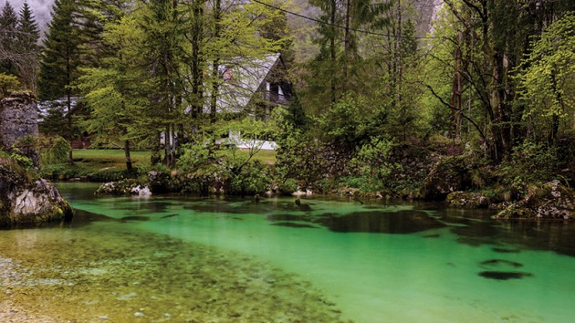 zasto-je-slovenija-ekoloski-najsvesnija-zemlja-na-svetu-2.jpg